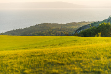 Beautiful landscape - green grass meadow and the sea in the background. Golf club meadow and the sea