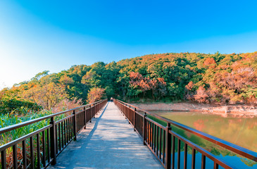 The scenery of Mount Qingyuan in Quanzhou City, Fujian Province, China