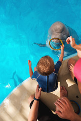Child playing with beluga whale in blue swimming pool