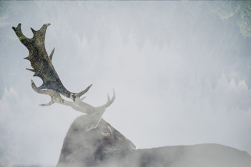 Double exposure of antler and forest