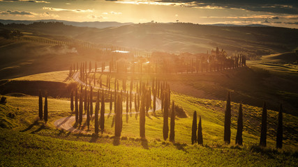 Impressive spring landscape,view with cypresses and vineyards ,Tuscany,Italy