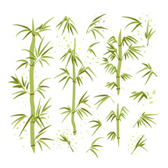 Naklejka na ściany i meble Vector illustration of bamboo leaves, stems, brunches. Green ecology environmental set of East Chinese and Japanese plant. Spa and ecology Bamboo illustration.