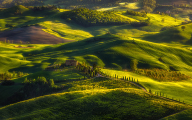 Impressive spring landscape,view with cypresses and vineyards ,Tuscany,Italy