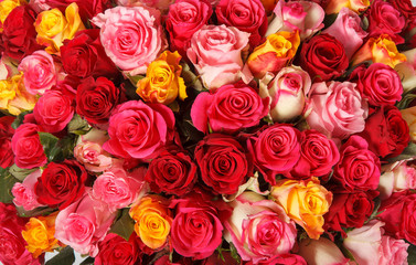 Backdrop of colorful paper roses background in a wedding reception with soft colors. Closeup image...