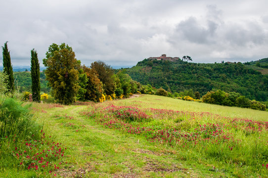 Landschaft bei Murlo in der Tokana