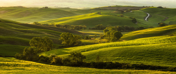 Fototapeta premium Imponujący wiosenny krajobraz, widok z cyprysami i winnicami, Toskania, Włochy