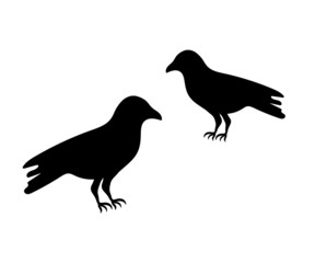 ２匹のカラスのシルエットイラスト/アイコン/白黒/モノトーン