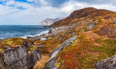 Fototapeta na wymiar landscape view of Senja Island near Mefjordvaer