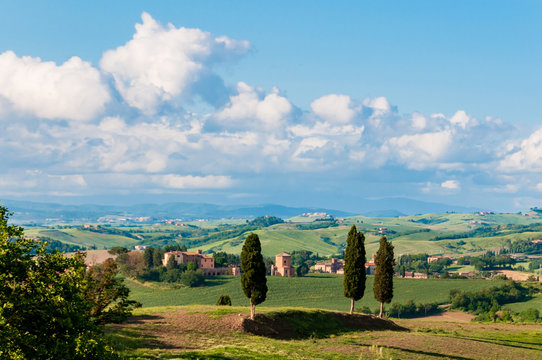 Italien, Toskanalandschaft im Sommer in der N&auml;he von Siena