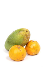 Fresh mango "Mangifera indica" and two oranges "Citrus reticulata" isolated white background