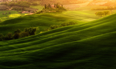 Impressive spring landscape,view with cypresses and vineyards ,Tuscany,Italy