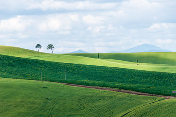 Toskanalandschaft südlich von Siena