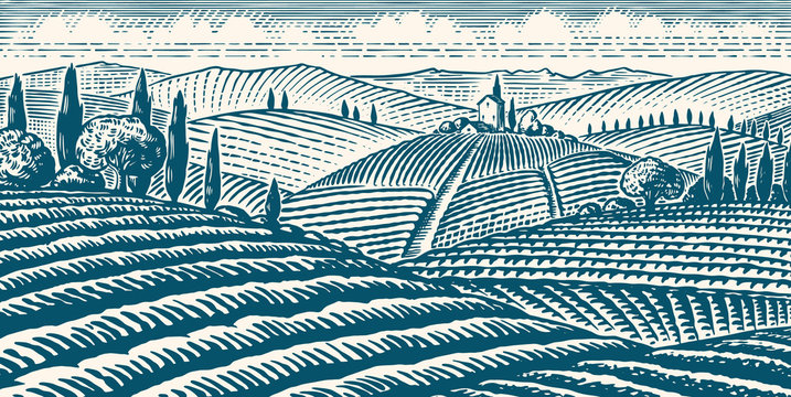  Fields and hills of Tuscany. Scenic view of vineyards. Wide panoramic vine plantation in Chianti. French or Italian engraved landscape. Hand drawn monochrome vintage horizontal sketch. 