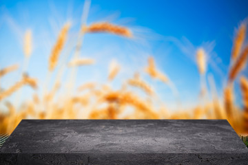 Black clear stone surface on blurred background of wheat, blue sky, close-up.