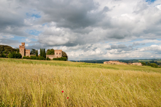 Kornfelder in einer Toskanlandschaft im Sommer