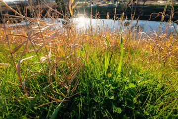 モーニングタイム