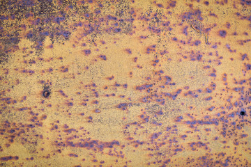 Surface of old rusty metal. Background for your design.