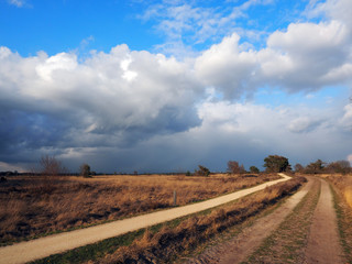 Stabrechtse heide in North Brabant. This is one of the biggest heatlands in the Netherlands. Because of too much nitrogen, the heath is pushed back by grass.