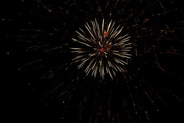 Colorful fireworks on the black sky background. Independence Day Fourth of July.