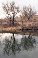  Two autumn trees with reflection in the water