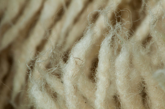 Wool Fibers