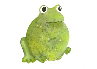 La grenouille verte au gros ventre tachetée de jaune.