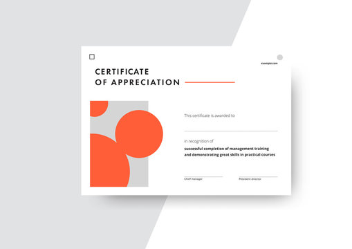 Certificate of appreciation template design. Elegant business diploma layout for training graduation or course completion. Vector background illustration.