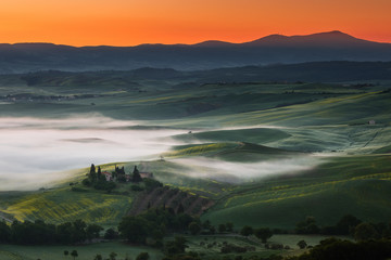 Impressive spring landscape,view with cypresses and vineyards ,Tuscany,Italy