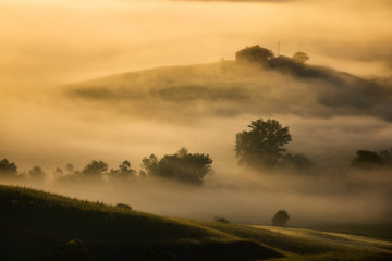 Impressive spring landscape,view with cypresses and vineyards ,Tuscany,Italy