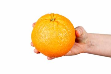 Orange in hand on white background. Vegetarian food and vitamins