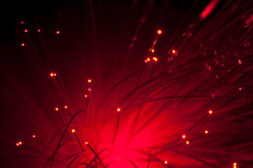 Optical fibers