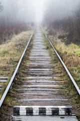Fototapeta premium Empty railway goes through forest, vertical photo