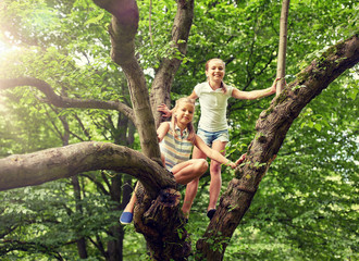 friendship, childhood, leisure and people concept - two happy girls climbing up tree and having fun...