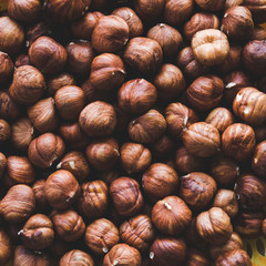 many hazelnuts peeled top view