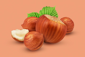 Hazelnuts with leaves isolated on colorful background as package design element