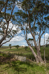 Te Paki. Highway 1. Near Cape Reinga Forest. Northland New Zealand