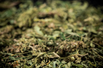 Sative Indica or Cannabis Marijuana Flower Buds Blur Bacground