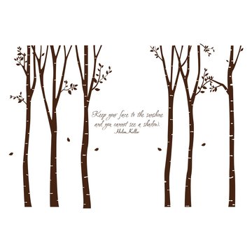 The beautiful tree with the quote