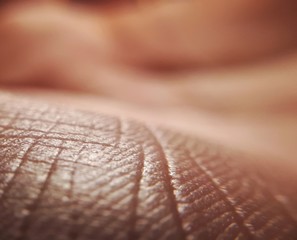 Human skin close up background