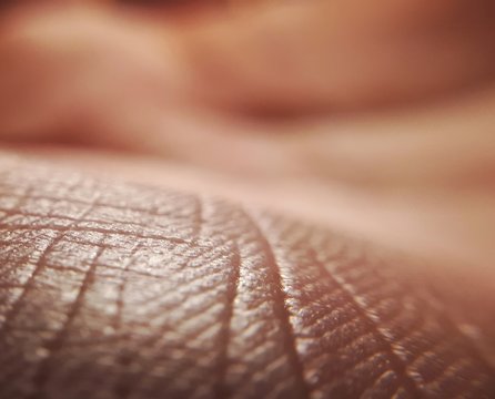 Human skin close up background