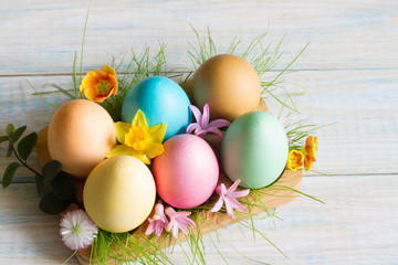 Easter colorful eggs with spring flowers blossom and green grass still life floral concept