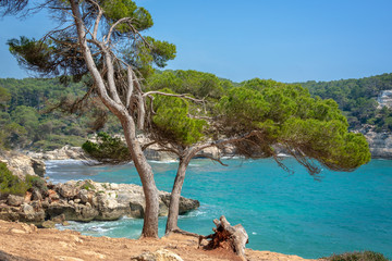 Cala Mitjana and Cala Mitjaneta in Menorca, Balearic islands, Spain