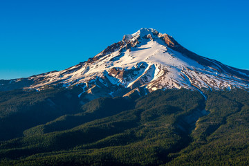 Mountain Peaks and Blue Skies - Mt Hood Oregon