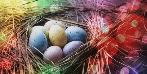 Easter eggs on wooden background