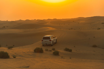 Fototapeta na wymiar Desert Sand Dunes Off-Road Adventure