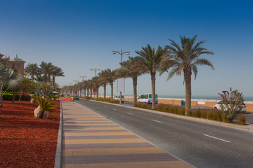 Fototapeta premium beautiful palm trees in Dubai city, United Arab Emirates