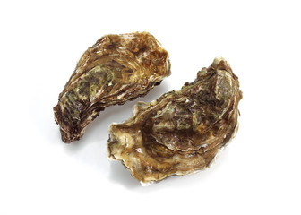 HUITRE MARENNES D'OLERON