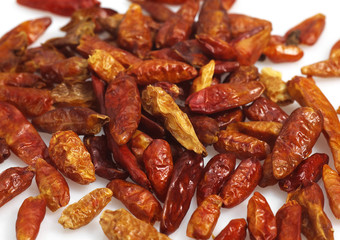 PIMENT OISEAU
