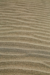 Fototapeta na wymiar A zebra pattern in the sand