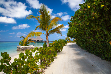 road on the island, beautiful view of the Maladives